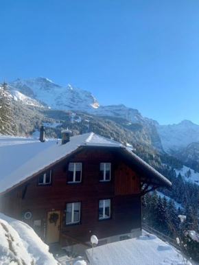 Chalet Aargovia